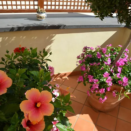 Bed & Breakfast Maria 2*